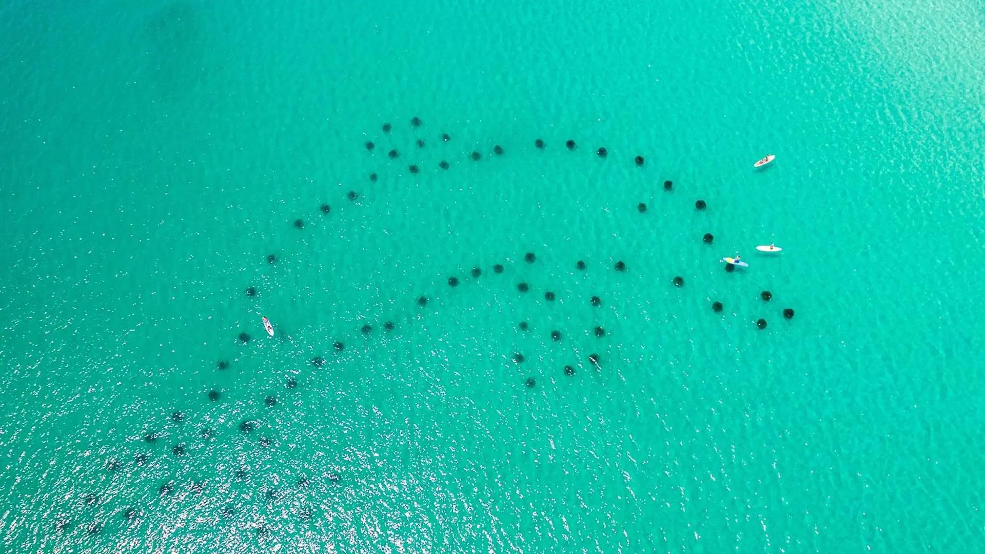 Sandpiper Cove 2138- By Holiday Isle Properties Destin United States